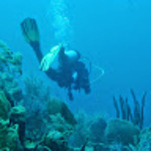 Meet your Posher, Jerry